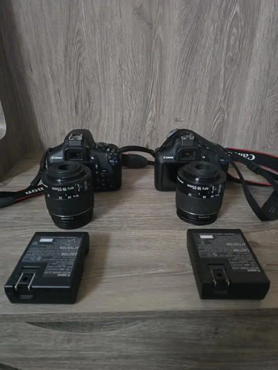 Canon Rebel T6, Rebel T7 Image