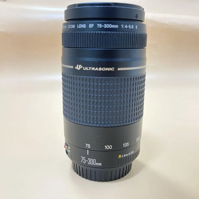 Canon 75-300mm II USM Image