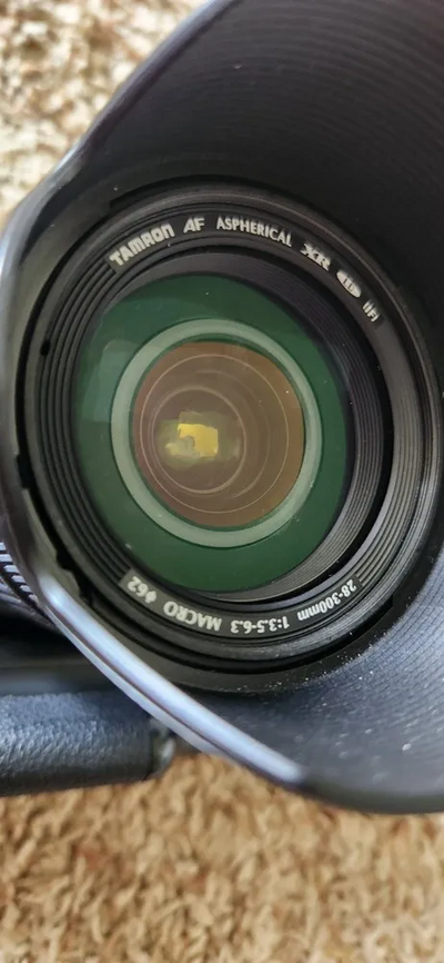 Canon Elan 7e Image