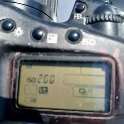 Canon R3 Image