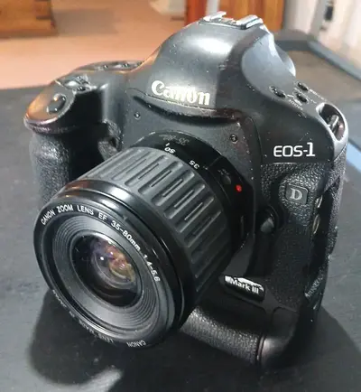Canon R3 Image