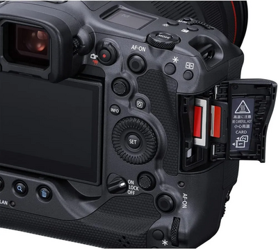 Canon R3 Image