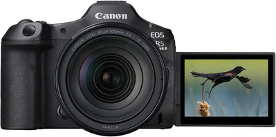 Canon EOS R5 Mark II Image