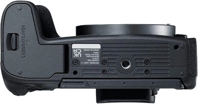 Canon EOS R8 Image