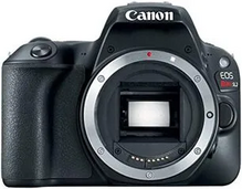 Canon Rebel SL2 Image