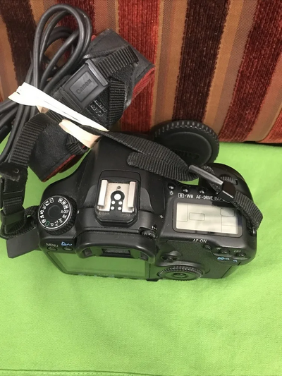 Canon Eos 40d Image