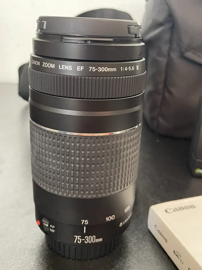 Canon EOS Rebel SL2 Image