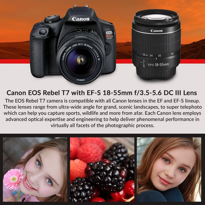 Canon EOS Rebel T7i Image