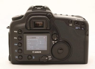 Canon 10D Image