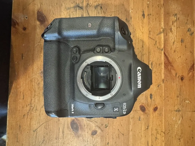 Canon 1DS Image