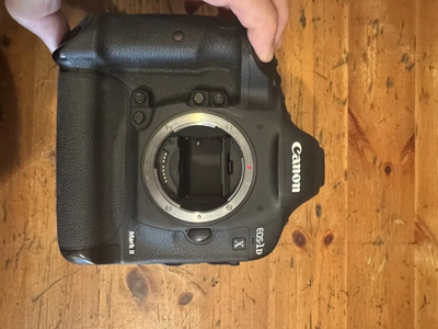 Canon 1DS Image