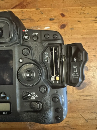 Canon 1DS Image