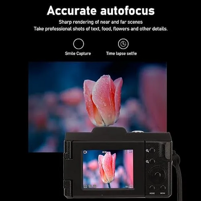 Ciciglow Sdtmkngreb Image
