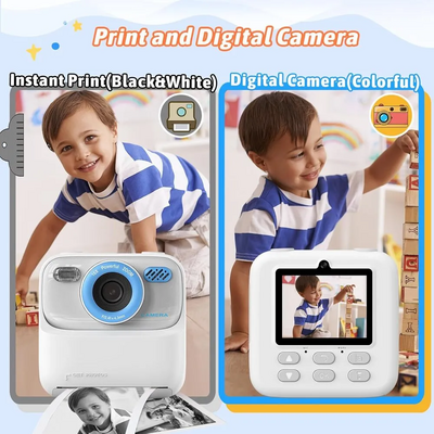 Cimizi P79 Image