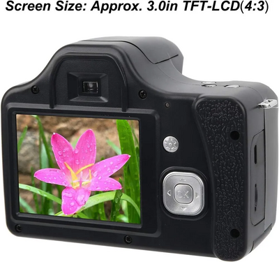 Denash R5wcag-11 Image