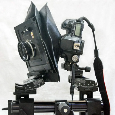 ETone SINNIDIBBL Image