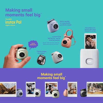 Fujifilm PAL Image