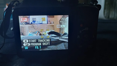 Fujifilm FinePix S4800 Image
