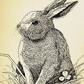 Gateway DC-T50 Image