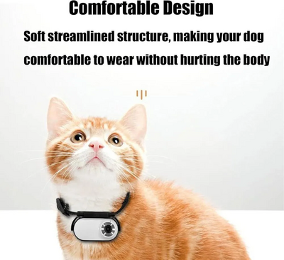 Generic Cat Collar Image