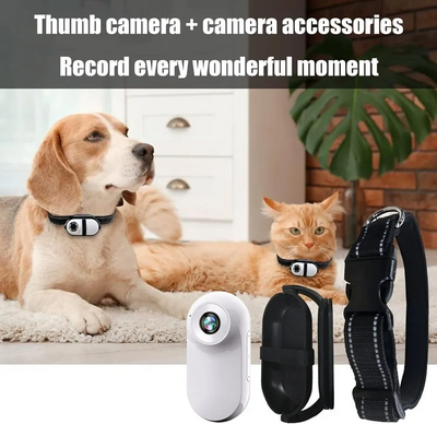 Generic Cat Collar Image