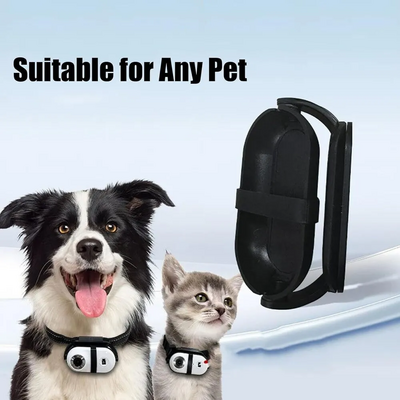 Generic Cat Collar Image