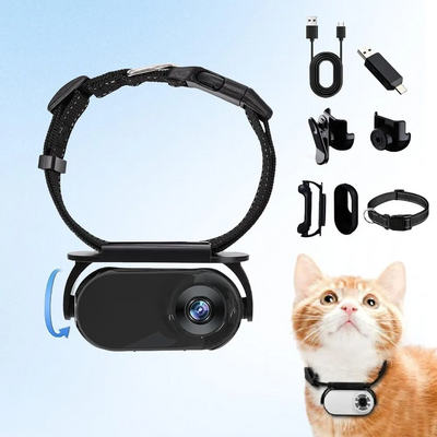 Generic Cat Collar Image