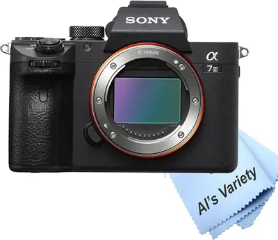 Generic A7III Image