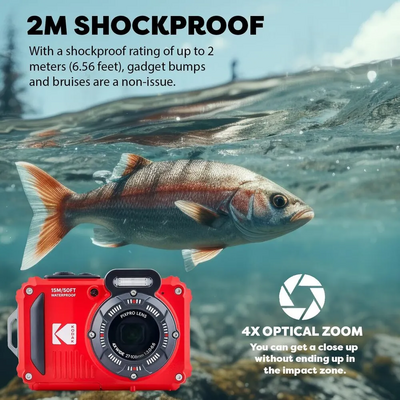 KODAK Z2RD Image
