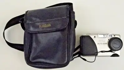 KODAK DC215 Image