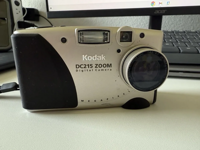 KODAK DC215 Image
