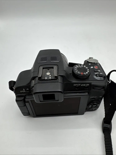 Leica V-LUX 2 Image