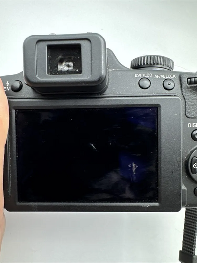 Leica V-LUX 2 Image