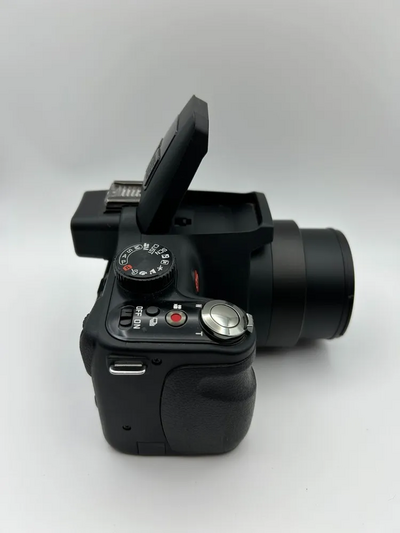 Leica Leitz v-lux 3 Image