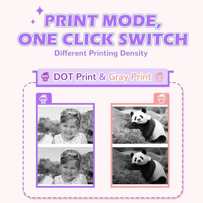 MOTYCTCH JRKI001 Image