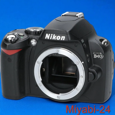 Ｎｉｋｏｎ D40 Image