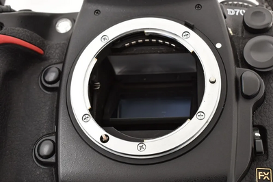 Nikon D700 Image