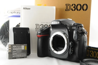 Nikon D300 Image