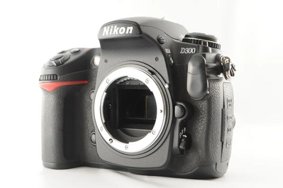 Nikon D300 Image