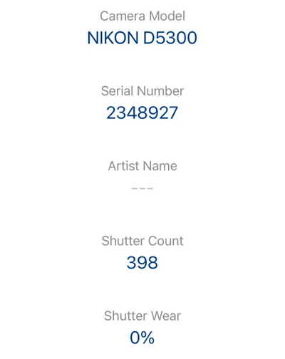 Nikon D5300 Image