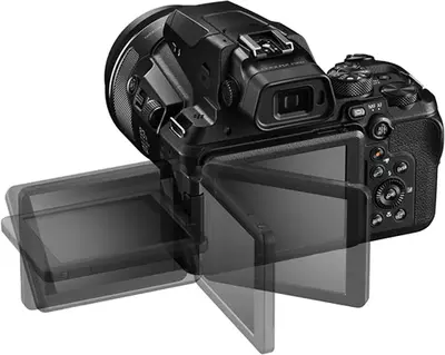Nikon P950 Image