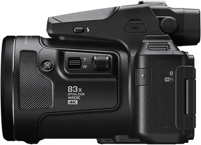 Nikon P950 Image