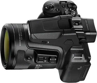 Nikon P950 Image