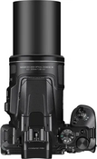 Nikon P950 Image
