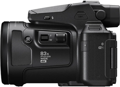 Nikon P950 Image