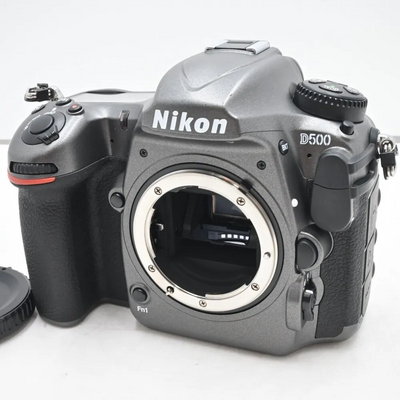 Nikon D500 100th Anniversary Image