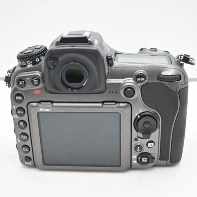 Nikon D500 100th Anniversary Image