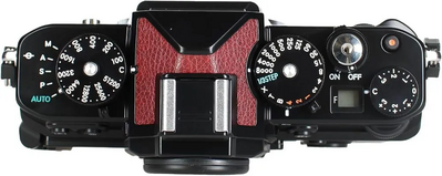 Nikon 1761 Image