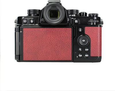 Nikon 1761 Image