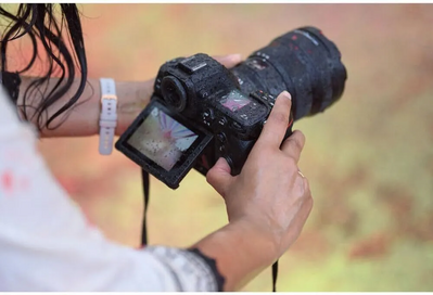 Nikon Z8 Image